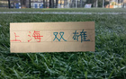 足协杯的比赛！海港能击败泰山 申花会继续三杀大连英博吗
